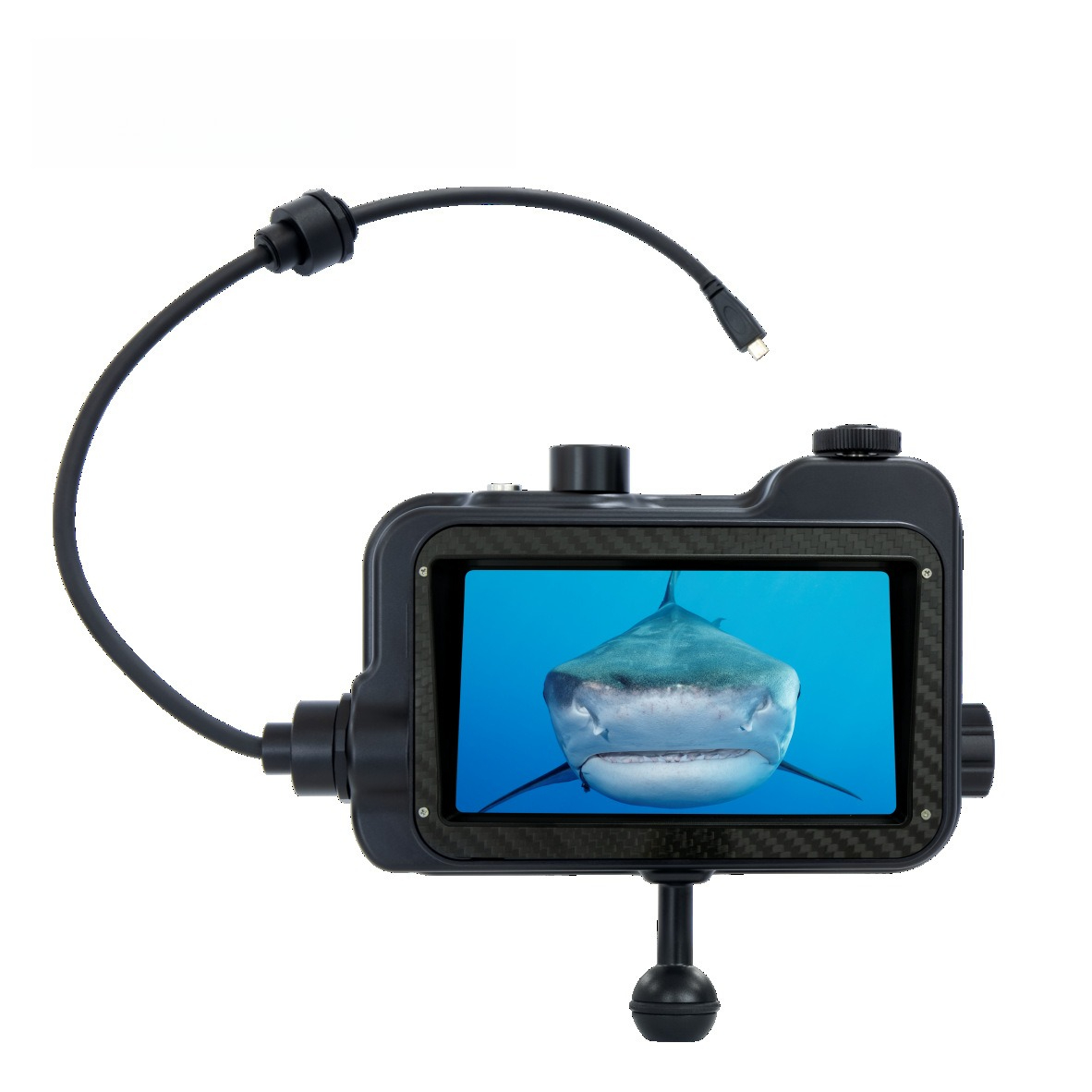 Monitor HDR, layar video fotog - Photography Lighting Definition ulasan dan harga