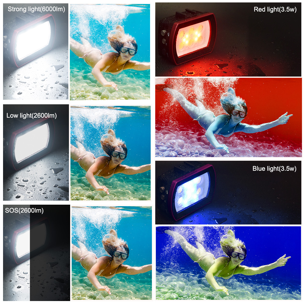 Seachogs Aluminium LED Lampu S - Photography Lighting Brands ulasan dan harga