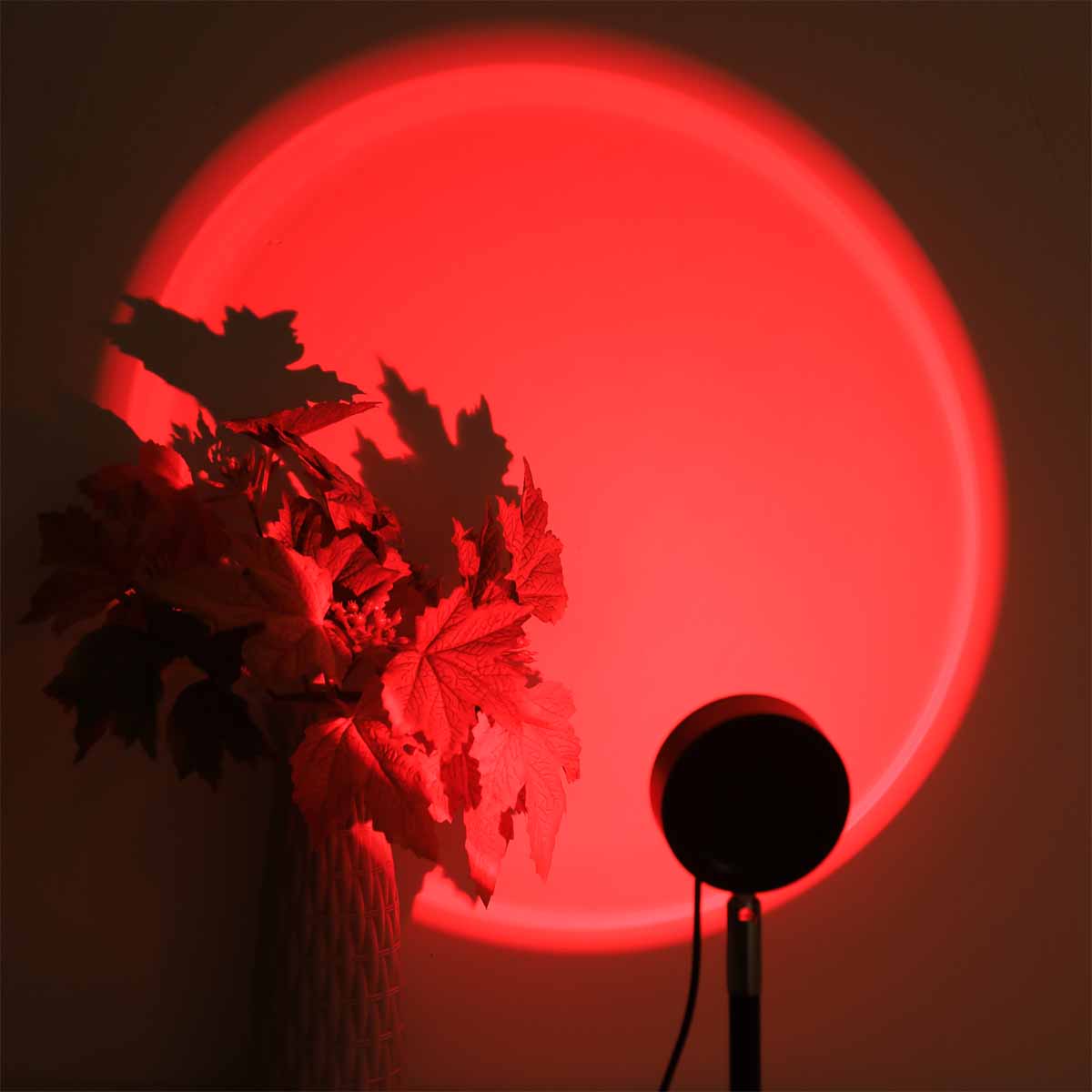 Lampu Proyeksi Matahari Terben - Photography Lighting Setup ulasan dan harga